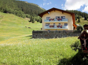 Spacious holiday home in Kappl near the ski area See